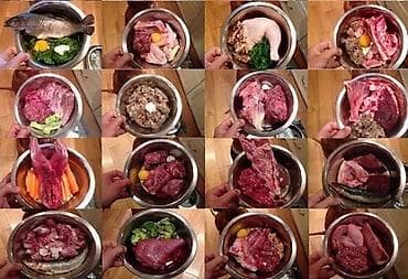 корм для рыбок: Кормление собак системой BARF Качестный продукт Много мясо Корм для — 1