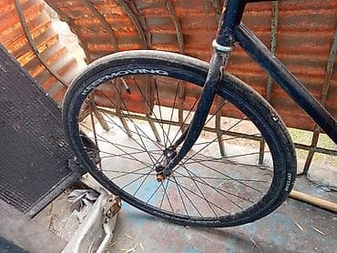 single speed: Городской велосипед, Рама L (172 - 185 см), Б/у — 2
