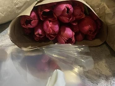 цветы искусственные бишкек: Тюльпаны срезанные, упаковка по тюку в крафт-бумаге. - Палитра — 3