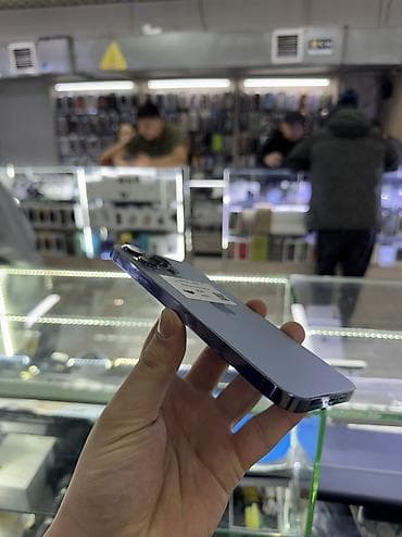 iphone 7 256gb: IPhone 13 Pro Max, 256 ГБ, Голубой, Зарядное устройство, Защитное стекло, Чехол — 3