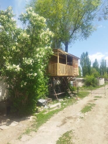 дом институт земледелия: Барак, 93 кв. м, 6 бөлмө, Менчик ээси — 17