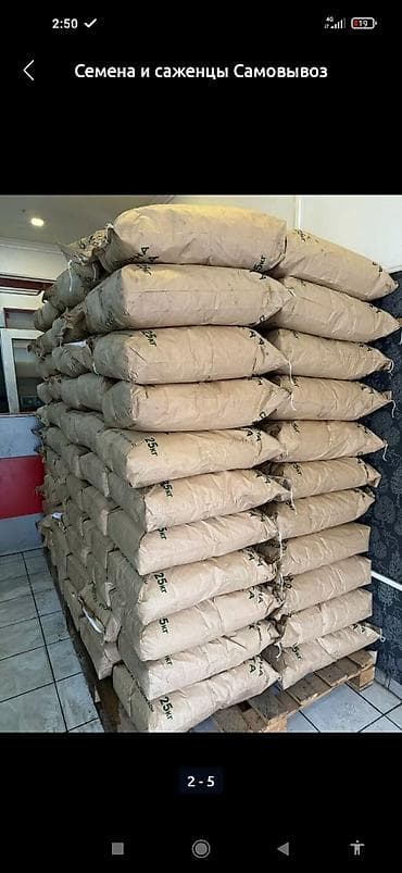 Семена люцерны!!! 
Сорт: Багира 
Есть гарантии на семена