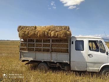 рама культиватора: Сдаю бортовой грузовик Другой транспорт, Почасово — 3