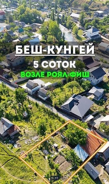 5 соток, Курулуш, Кызыл китеп — 1