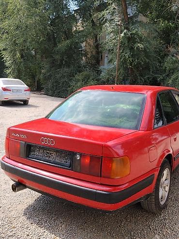 Audi 100: 1991 г., 2.3 л, Кол менен иштөөчү, Газ, Седан — 3