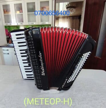 головной микрофон: Аккордеон Weltmeister (Meteor-N) Cardal. - Немецкий аккордеон — 7