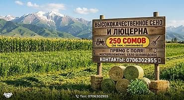 породы собак в бишкеке: Высококачественное сено и люцерна — прямо с поля. - Формат: тюки — 1