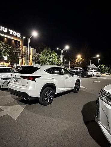 model x: Lexus NX: 2020 г., 2 л, Автомат, Бензин, Кроссовер — 2
