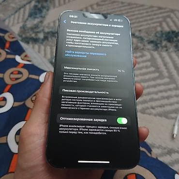 аефон 10: IPhone 13 Pro, 256 ГБ, Sierra Blue, Чехол — 6