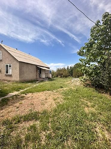 open space: 8 соток, Для строительства, Договор купли-продажи, Красная книга, Тех паспорт — 1