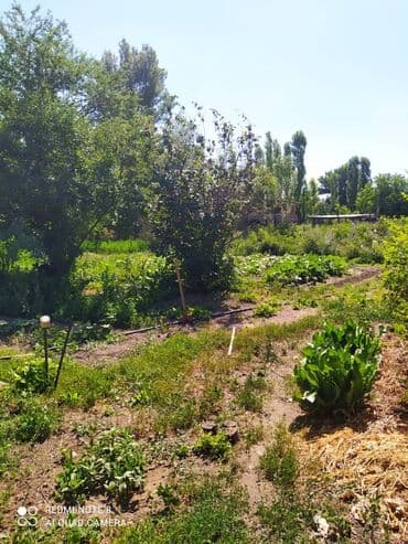 дома в беловодском: Дом, 55 м², 4 комнаты, Собственник — 6