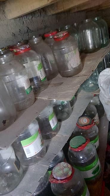 Другие товары для кухни: Банки, Б/у, Самовывоз — 1