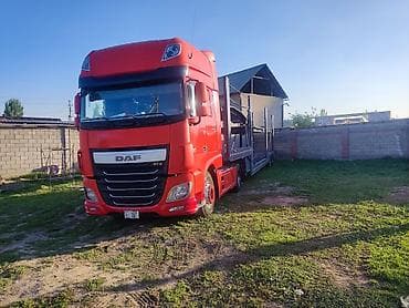 собаки овчарка: Прицеп, DAF, Автовоз — 3