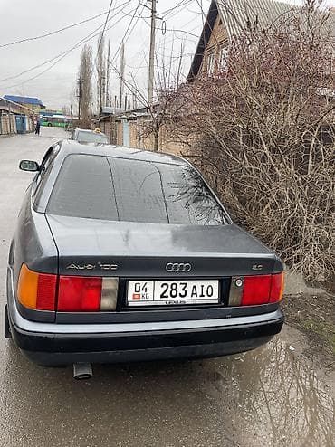 двер на ауди 100: Audi 100: 1992 г., 2 л, Механика, Бензин, Седан — 5