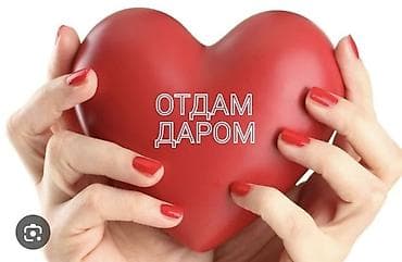 Отдам даром 
Вещи для девочек 2 годика