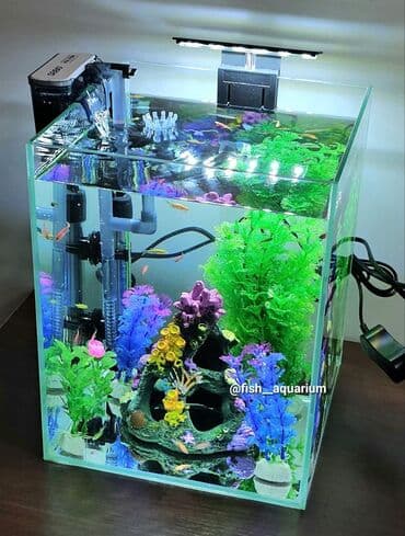 аквариумная рыбка: Аквариум- ваш собственный живой уголок в доме. Отлично подойдёт на — 3