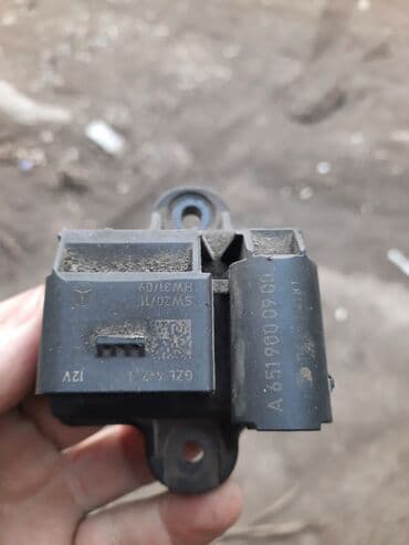 купить золотистый ретривер: Шамдар — 1