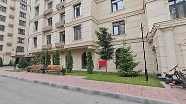 рябчик: Уборка территории — 2