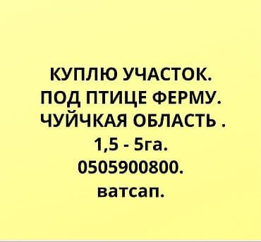 Кыймылсыз мүлк: Ищу к покупке земельный участок для размещения птицефабрики в Чуйской — 1