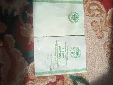 продаю дом алтын ордо новопавловка: 85 соток, Айыл чарба үчүн, Сатып алуу-сатуу келишими — 6