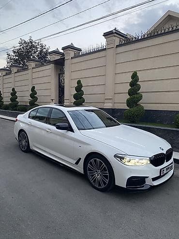 BMW 5 series: 2019 г., 2 л, Автомат, Бензин, Седан