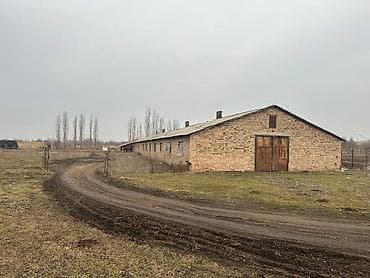 аренда фермерского хозяйства: 1 соток, Действующий, Частично с оборудованием, Электричество — 7