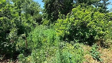 длиная: Продаю 4сот, 3к, дом, 51м2, Маевка, 57т$, В 5 минутах конечной — 10