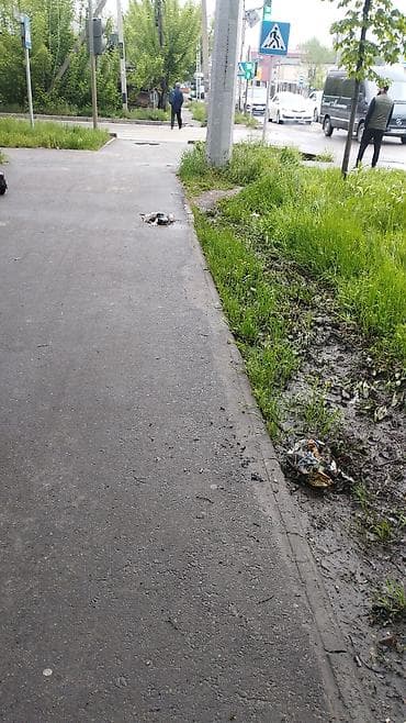 интернет магазин одежды: Уборка территории, Уборка двора и сада — 1