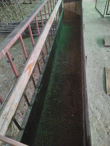 животные собака: Отличная Сенорезка цена 8000 сом.стол тяжёлый.можно прикрепить — 4