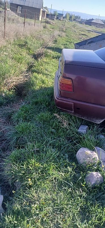 дэу матиз 1: Mercedes-Benz W124: 1988 г., 2.3 л, Автомат, Бензин — 4