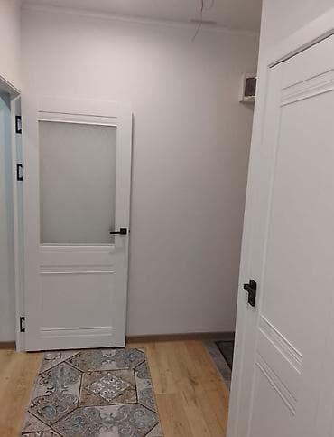 5: 1 комната, 43 м², Киргизия 1 Элитка, 5 этаж, Евроремонт — 9