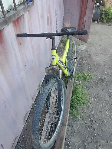 Велосипеддер: Тоо велосипеди, Болот, Колдонулган — 2