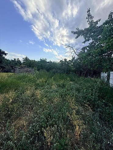 псо медина рынок кв: Продаётся 2 дома на участке 23 сотки в с, Бостери на Иссык-Куле — 7