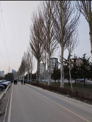 Квартиры: 1 комната, 51 м², Асанбай мкр Элитка, 3 этаж, Евроремонт — 9