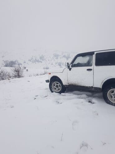 шины на ниву: ВАЗ (ЛАДА) 4x4 Нива: 2007 г., 1.7 л, Механика, Бензин — 8