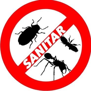 дезинфекция дома от клопов ош: Дезинфекция, дезинсекция, | Клопы, Тараканы, Блохи, | Кафе, магазины, Дворы, Подъезды — 1