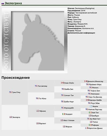 для лошадей: Продаю | Кобыла (самка) | Английская | Для разведения | Племенные — 4