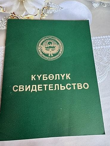 Ягоды: Продаю землю 1 га с малиной хорошим урожаем — 8