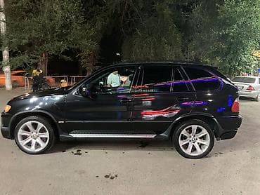 BMW X5: 2003 г., 4.6 л, Автомат, Бензин, Кроссовер — 4