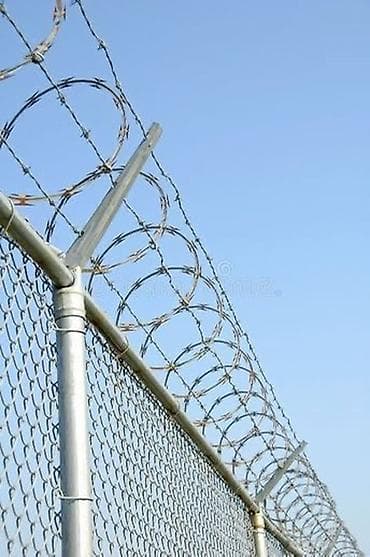 продаю озб: Колючая проволока Егоза, Бухта, Длина: 10 м, Диаметр: 2,5 мм, Новый — 2