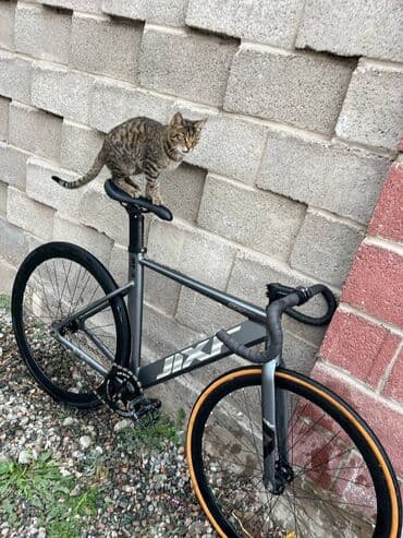 трехколесный велосипед без педалей: 🚴‍♂️ Продаю велосипед JIXF стиль 🚴‍♂️ ✅ Велосипед в отличном — 2