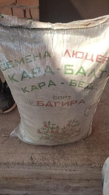 кой сатам: Семена люцерны, сорт «Багира» (Кара-Балта/Кара-Беде). Особенности: - — 1