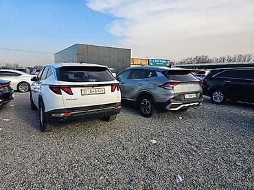 kia sport: Kia Sportage: 2022 г., 2 л, Автомат, Дизель, Кроссовер — 3