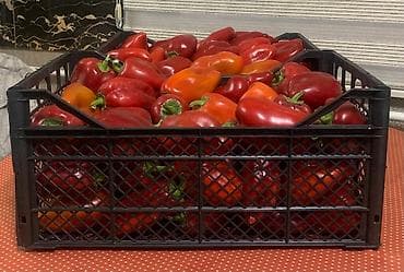 кол тараза: Ящики под Перец 🌶️ — 1