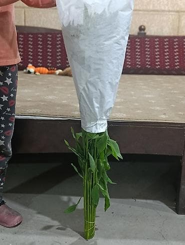 цветы дешево: Альстромерия свежая Ыссык-Кульская Цена договорная Букет . В букете — 4