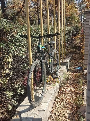 talon 2: Горный велосипед, Рама L (172 - 185 см), Алюминий, Б/у — 4