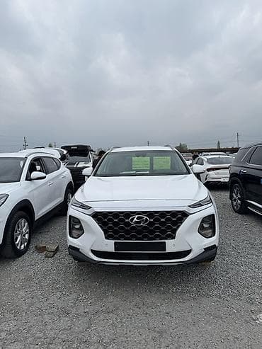 защита на скутер: Hyundai Santa Fe: 2019 г., 2.2 л, Автомат, Дизель, Внедорожник — 6