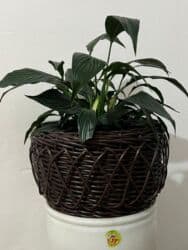 Садовые инструменты и инвентарь: Изделия из ротанга.Принимаем заказы звонить на номер — 12