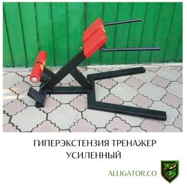 разгибание ног: Силовой тренажер, Гиперэкстензия, Для спины, Новый, Самовывоз, Платная доставка — 1