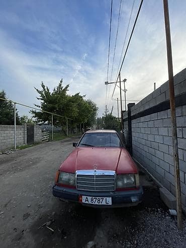 e 303: Mercedes-Benz E-Class: 2025 г., Седан — 1